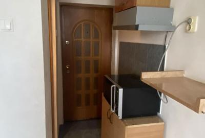 Garsonieră nedecomandată în Crâng - 2