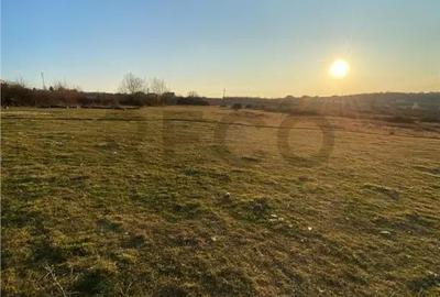 Teren de 2000 mp, în Spitalul Județean - 1