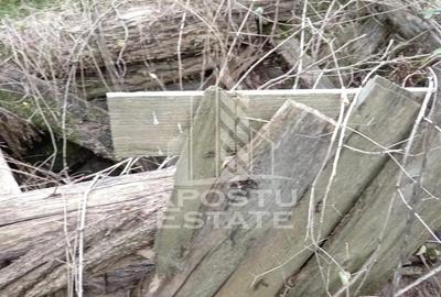 Teren Intravilan Cuied 3260 mp - 2