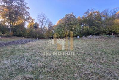 Teren de vanzare 2900 mp Brasov/Strada Ciresului - 6