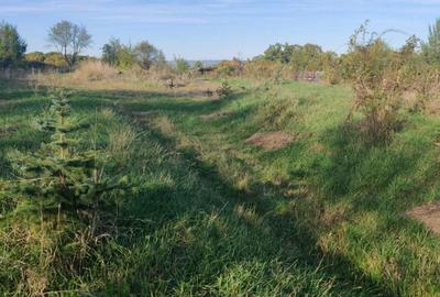 Spațiu comercial, în Cisnădioara - 6