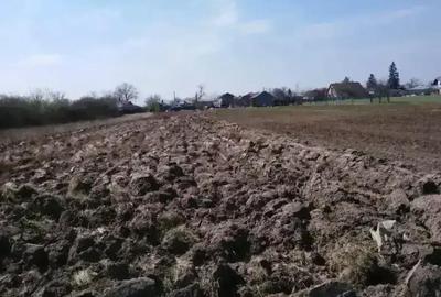 Teren de 2300 mp, în Bâldana