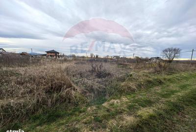 Teren de 500 mp, în Săcălășeni - 1