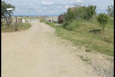 Teren de 5676 mp, în Oșorhei - 3