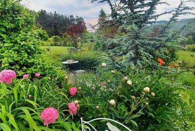 Casă cu 2 camere cu Teren 3100 Mp în Tărlungeni - 17