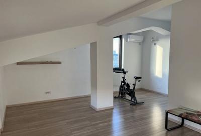 Casa 5 camere P+1+M Theodor Pallady - 3