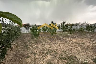 Ianova-Casa Individuală-Centrală pe Gaz - 16