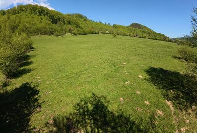 Teren intravilan de 5370 mp, în Poiana Sărată - 5