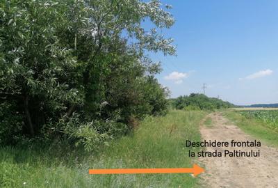 Teren de 500 mp, în Țintea - 2