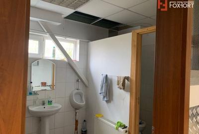 Spațiu industrial, de 500 mp, în Torontalului - 12