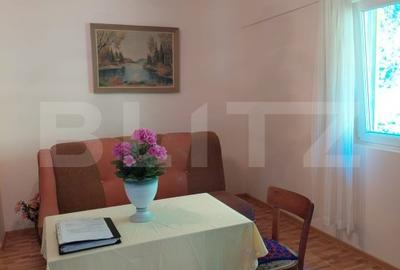 Casa la munte, 5 camere, 4800 mp teren, zona Ocolis - 2
