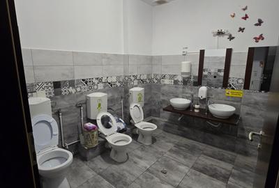 Sagului- Liviu Rebreanu- Casa 200 mp-curte si parcare - 5