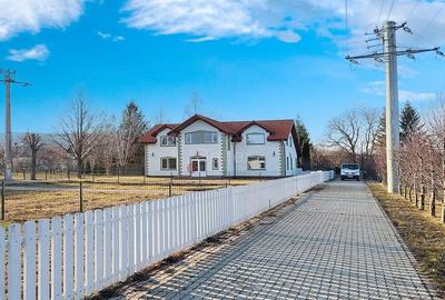 Casă cu 2 camere cu Teren 1638 Mp în Tohanu Nou - 7