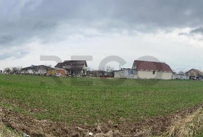 Teren de 14130 mp, în Sânmartin - 1