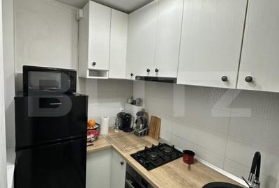 Garsonieră semidecomandată, mobilată în Brazda lui Novac - 3