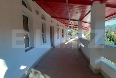 Casă individuală cu 6 camere în Vlădeț - Trei Brazi