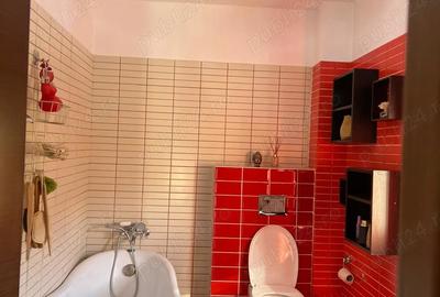 Vanzare casa pipera - 7