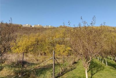 Teren de 1445 mp, în Slatina-Nera - 6