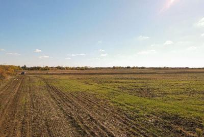 Bucovat - Lot Intravilan 2.27 Ha, PUZ inceput, Rezidentia... - 5