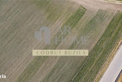 Teren de 2500 mp, în Bucov - 4