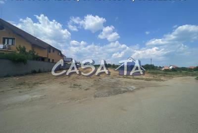 Parcele de Vanzare, Calea Bucuresti - Aleea Sfantu Dumitru - 14