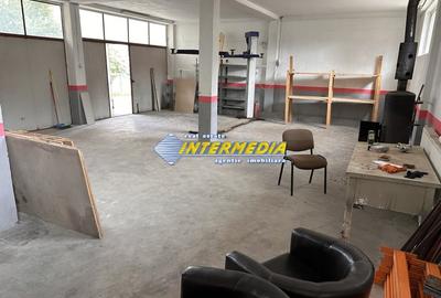 Spațiu industrial, de 115 mp, în Cetate