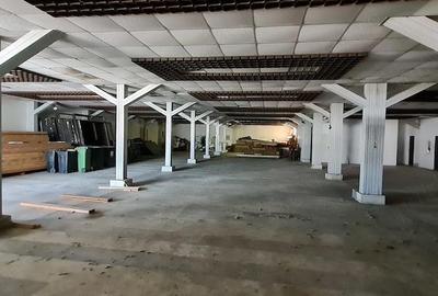 Spațiu comercial, de 3,000 mp, în Sântuhalm - 4