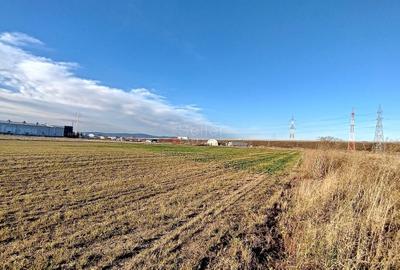 Teren Industrial - 3