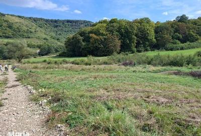 Teren de 1200 mp, în Florești