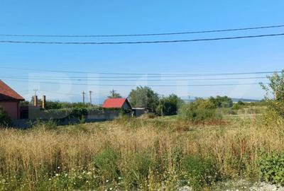 Teren de 9500 mp, în Abator - 3