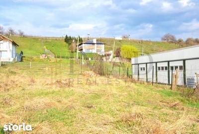 Teren de 800 mp, în Aninoasa - 4