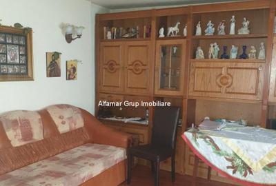 Casa individuala cu 3 camere Ferentari- Trompetului - 4