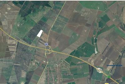 Teren agricol extravilan de 100000 mp, în Giarmata