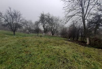 Baia Sprie, casa caramida, 9,4 ari teren - 7