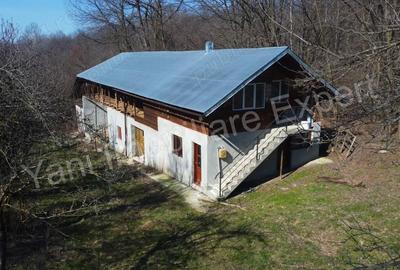 Casă cu Teren 9815 Mp în Borovinești - 9