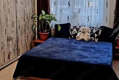 Apartament cu 2 camere decomandat în Roșu - 8