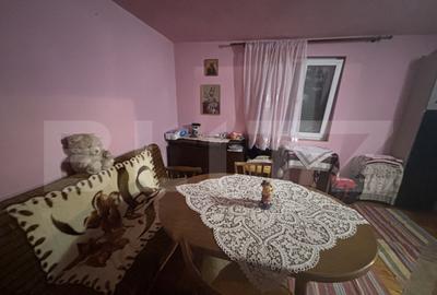 Casa de vanzare in Cionchesti , comuna Viile Satu Mare - 9