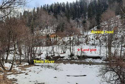 Teren Construcții intravilan de 4500 mp, în Timișu de Jos - 3