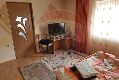 Casa traditionala De Vanzare cu 5 Hectare de teren - 13