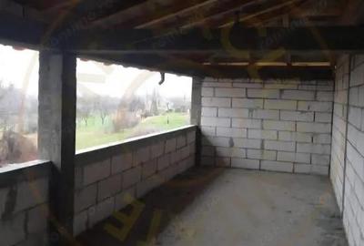 CASA LUNGANI-VEDEA! - 4