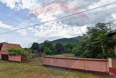 Teren de 1295 mp, în Șiria - 2