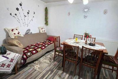 Casă cu Teren 6762 Mp în Copăcel - 4