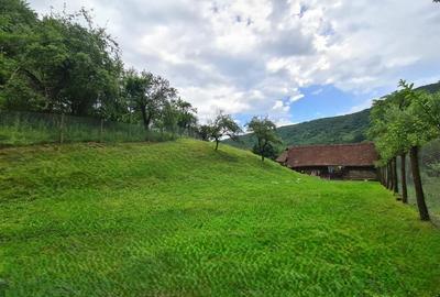 Casa deosebita \ vanzare \ Marginimea Sibiului \ Fantanele - 17
