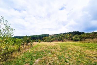 Teren 1,4 hectare Draganu Arges - 2