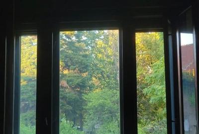 Apartament de vânzare în vilă pe sos. Kiseleff - 7