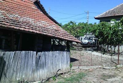 Casă cu 5 camere cu Teren 3000 Mp în Orevița Mare - 4