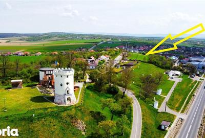 Teren de 12180 mp, în Burdea - 8