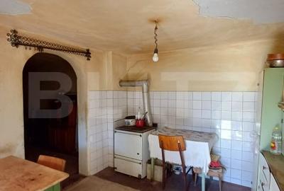 Casa renovabila cu 11508 mp teren, in Copaceni - 20