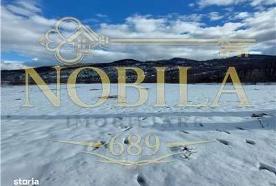 Spațiu comercial, în Poiana Sărată - 2