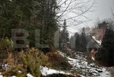 Teren de 4000 mp, în Calea Moroieni - 2